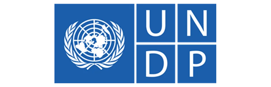 UNDP-copy
